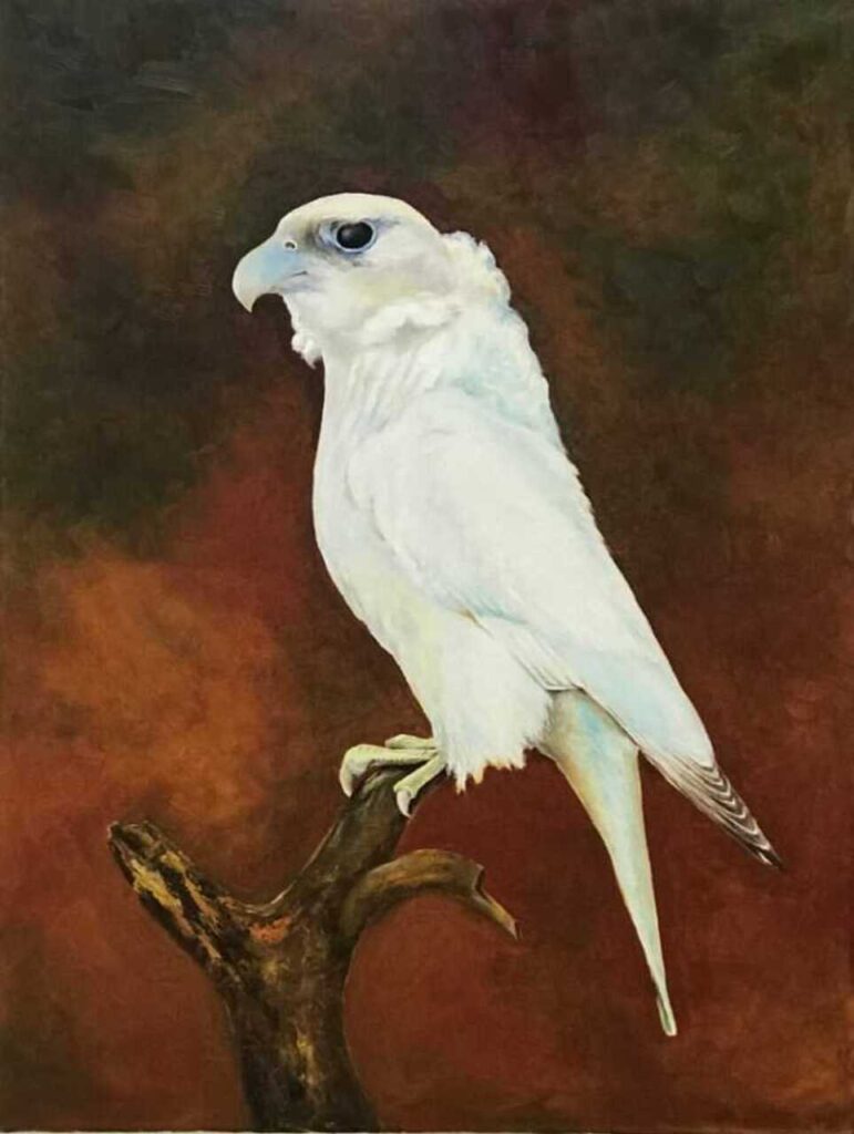 White falcon painting Dubai – desert inspired bird art UAE